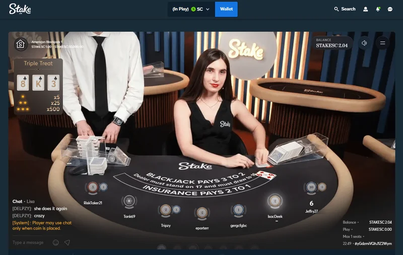 Stake Casino Mobile Gaming Experience